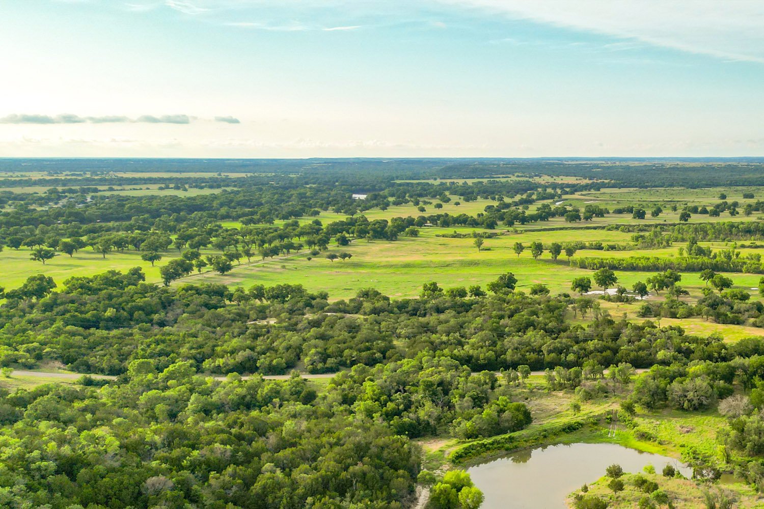 Timberview Preserve