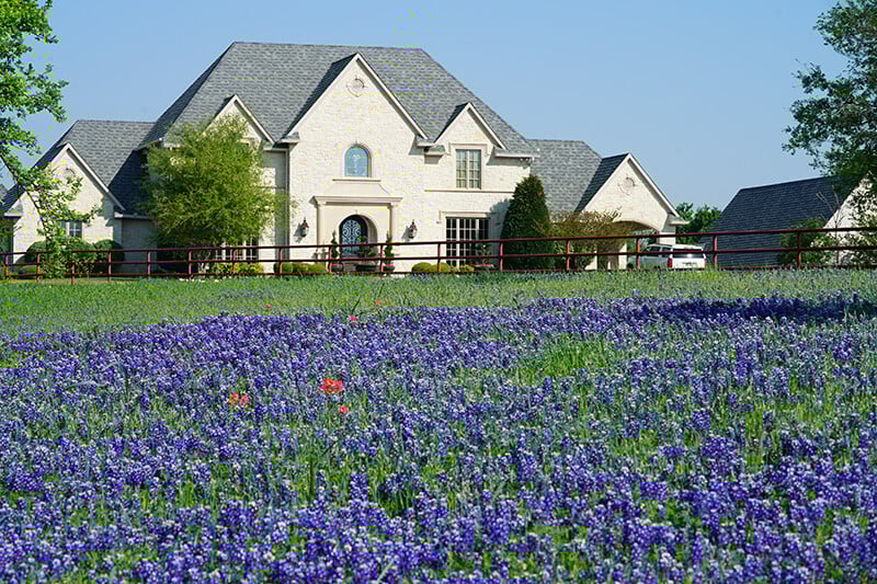 TX_home_wildflowers