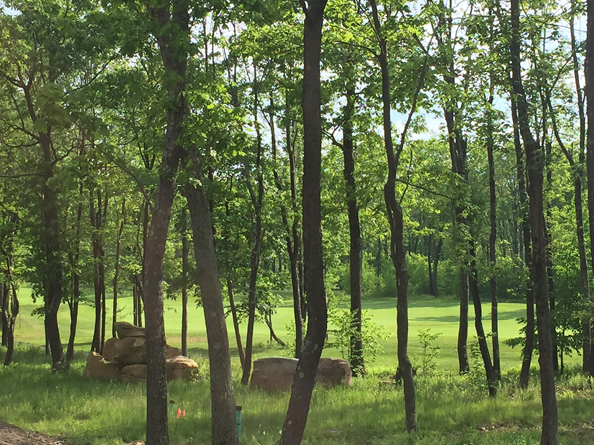 Deep Creek: Undeveloped Land