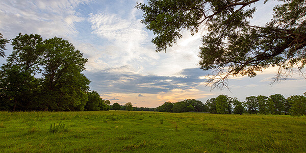 History of Land Sales in Texas