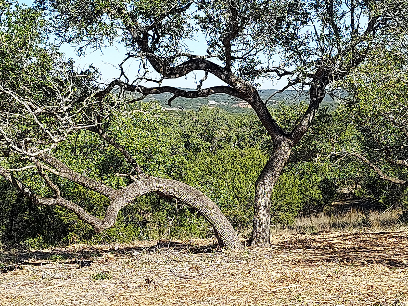 The Canyons at Scenic Loop: Undeveloped Land
